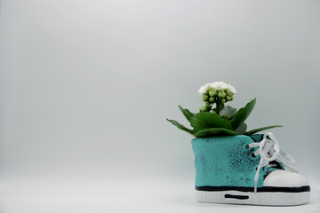 children's sneakers with a flower