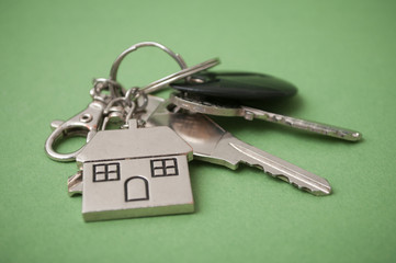 metallic key with house shaped key chain on green background