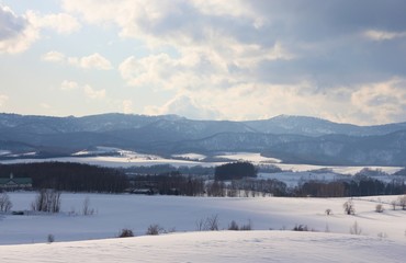 Fototapeta na wymiar 山と雪原　北海道（美瑛）