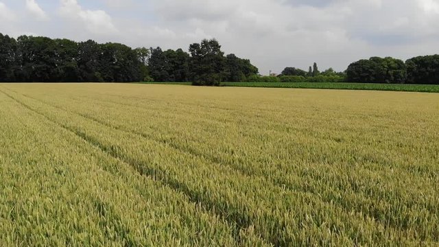 Field drone flight