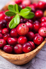 Harvest fresh red cranberries in wooden bowl, selective focus. Autumn concept