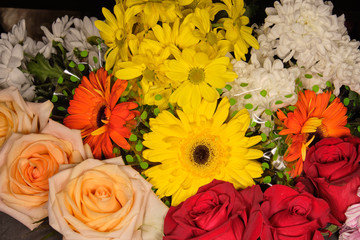 Colorful flowers on grey background.Bouquet of flowers. Selective focus