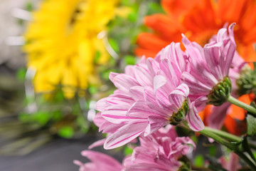 Fototapeta premium Colorful flowers on grey background.Bouquet of flowers