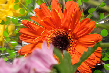 Colorful flowers on grey background.Bouquet of flowers. Selective focus