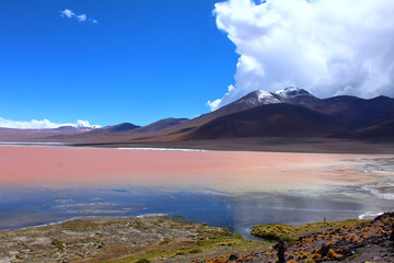 Reserva nacional de fauna andina Eduardo Abaroa