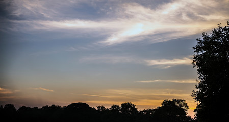 Dusk time shot of trees silhouette in the deep forest concept of loneliness and break up.