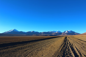 Reserva nacional de fauna andina Eduardo Abaroa