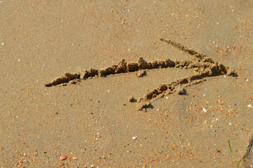 На морском песочном пляже нарисован символ стрелы направлением в правую сторону.