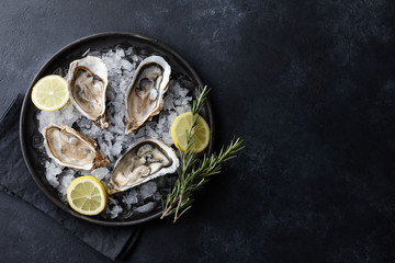 Fresh oysters in a plate with ice on black background - 243504104