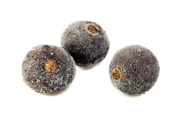 frozen black currants isolated on a white background. Frozen black currant fruits isolated on a white background. macro healthy food