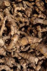 Herbs of Thai Medicine