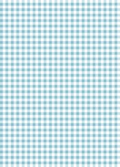 Aqua gingham pattern