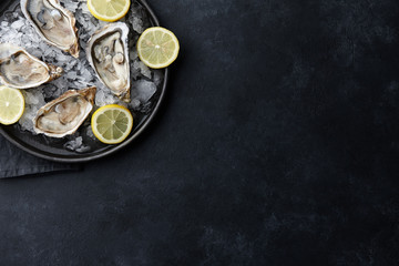 Fresh oysters in a plate with ice on black background