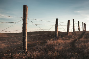 Perspective view of an old barbed wire fence
