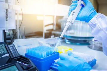 Instruments and scientific equipment. Scientists are using a micropipette to suck the solution for scientific experiments.