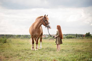Obraz premium girl with horse in a field