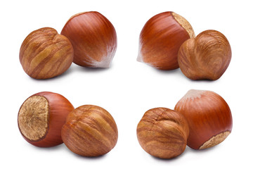 Set of hazelnuts, isolated on white background