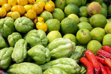 Vegetables at garden