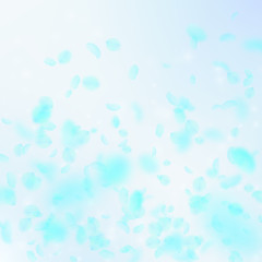 Fototapeta na wymiar Turquoise flower petals falling down. Emotional ro