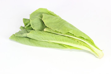 Salad leaf. Lettuce isolated Close up