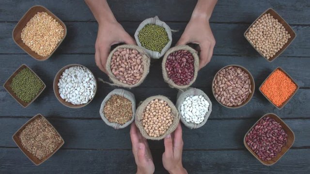 Legumes on dark wooden ecological background.
Beans are located in unusual form on black wooden table. Hands put knitted bags with beans to the centre of table. Bean cultures in wooden bowls.