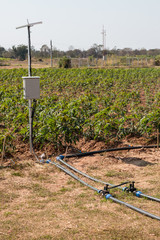 agriculture and Internet of things , smart farmer