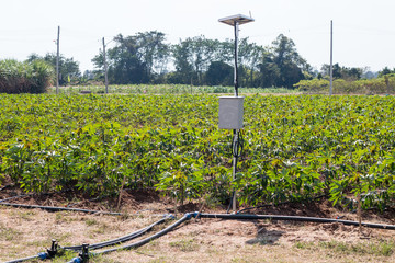 agriculture and Internet of things , smart farmer