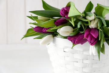 Bouquet of white and purple tulips in basket in front of white wooden wall. Top view. Flat lay. Copy space. Valentines day, mothers day, birthday, wedding celebration concept.
