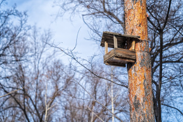 wooden birdhouse on a tree