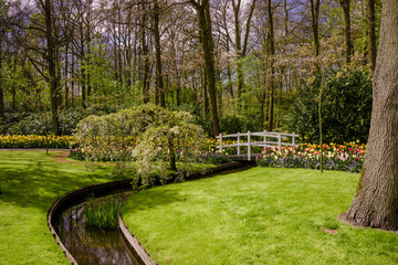 Colourful  Spring Formal Garden