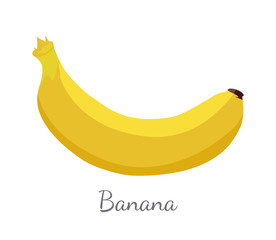 Banana Exotic Juicy Ripe Yellow Fruit Berry Icon