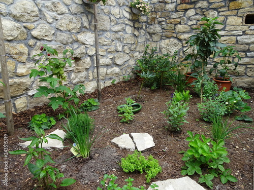 Garden Design New Planting Of Beds With Plants Shrubs And Garden Design New Planting Of Beds With Plants Shrubs And Fruit Trees