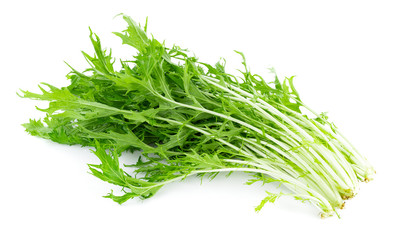 Mizuna lettuce isolated Japanese Mustard, vegetable salad for good health on white background