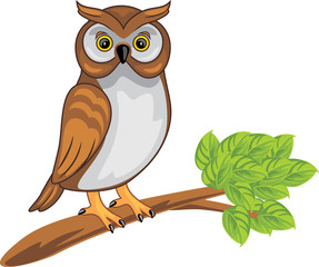 Cute owl sitting on a branch