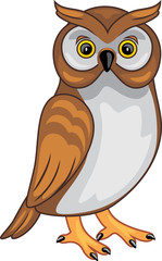 Cute owl isolated on white