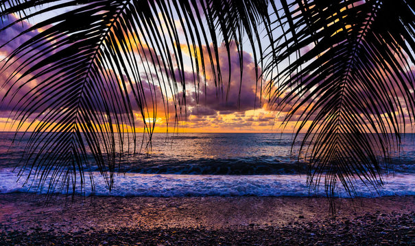 Summer tropical background. Sunset at the Ocean