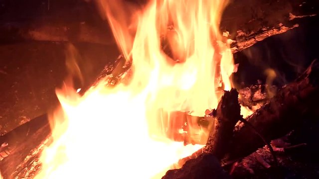 Hot fire burning wood in forest during the night