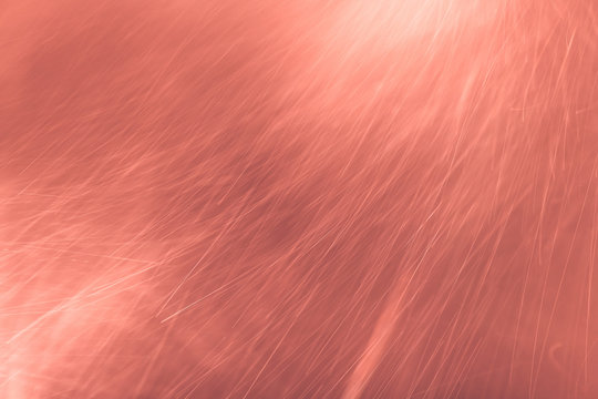Pink Salmon texture dust particules