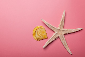 Fototapeta na wymiar starfish with shell isolated on pink background, vacation resort concept