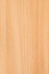  wood texture with natural patterns