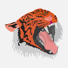 Tiger head, flat design, image