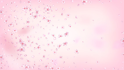 Nice Sakura Blossom Isolated Vector. Pastel Blowing 3d Petals Wedding Border. Japanese Blooming Flowers Illustration. Valentine, Mother's Day Spring Nice Sakura Blossom Isolated on Rose