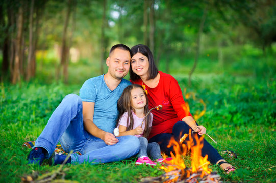 the family is resting in nature sitting around the fire and roast marshmallows