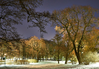 Beautiful park scene in winter evening in Helsinki