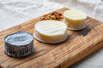 Assortment of French soft goat cheeses, Chevre Cendre, Cabecou Du Perigord and Chevre De Dordogne served on olive tree board