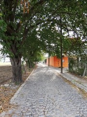 Fototapete bei efototapeten.de bestellen   