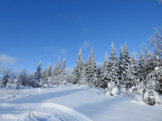 Fototapeta na wymiar Le terrain des loisirs en hiver, Sainte-Apolline, Québec, Canada