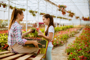 Young  florists enjoying work in the greenhouse