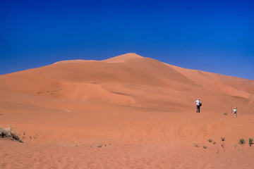 Fototapeta na wymiar Tourists on the dunes of Namib Desert, Africa, Namibia, Hardap, Namib Naukluft Park, Deadvlei