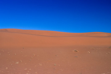 Dunes of the Namib Desert, Africa, Namibia, Hardap, Namib Naukluft Park, Deadvlei